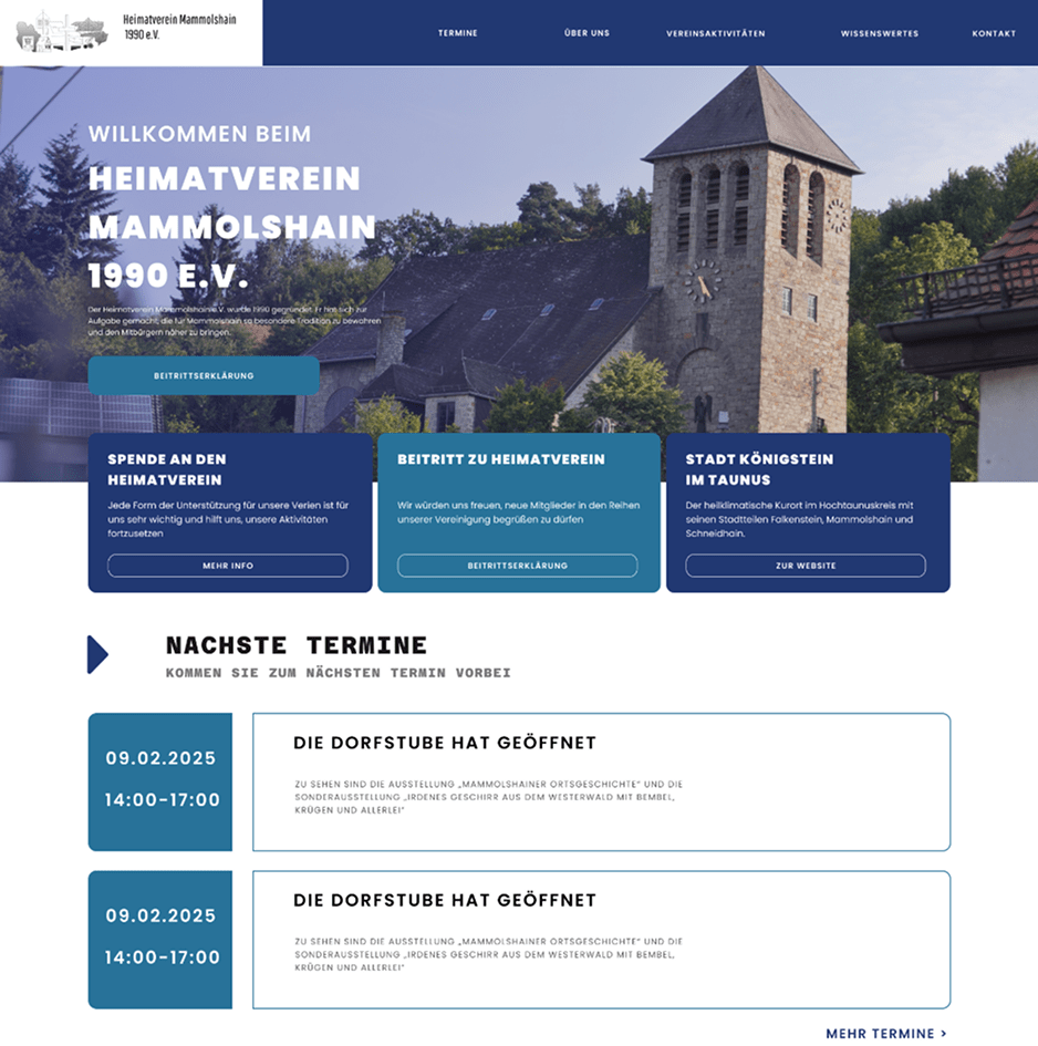 Project overview